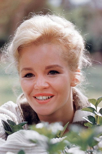 Tuesday Weld oyuncu görseli