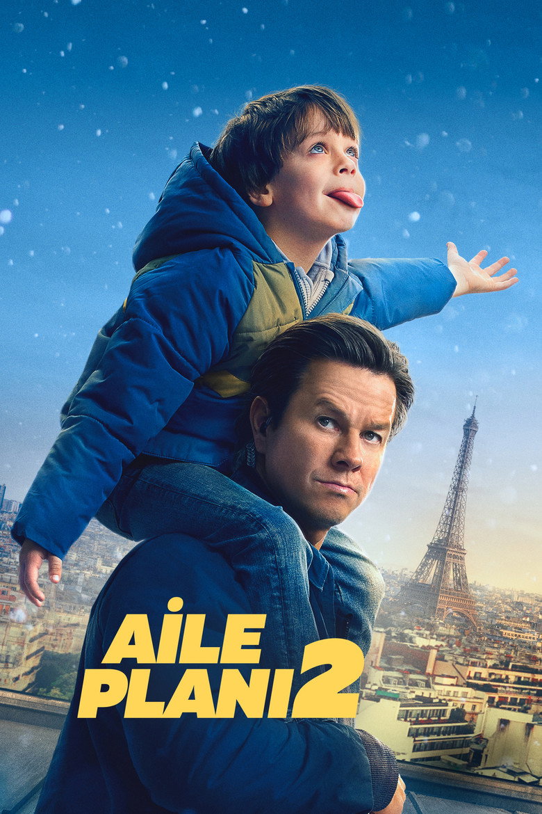 Aile Planı 2 film posteri