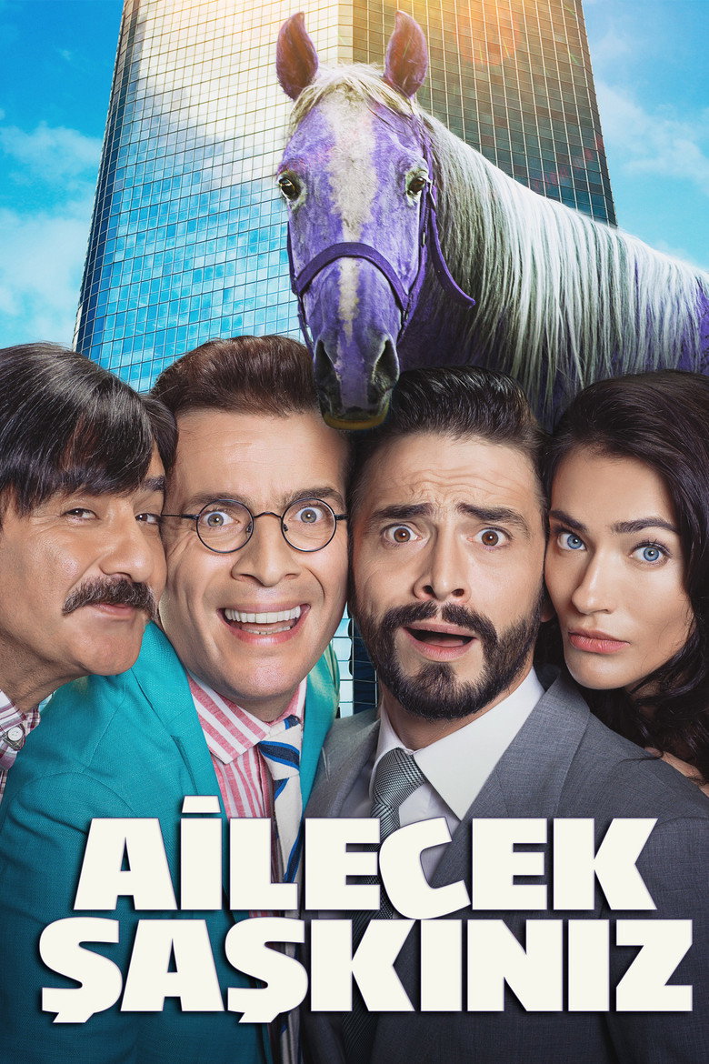 Ailecek Şaşkınız film posteri