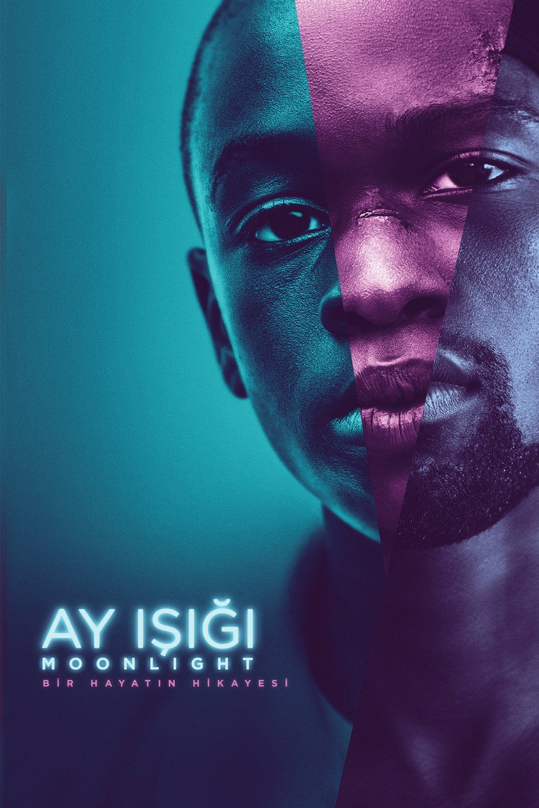 Ay Işığı film posteri
