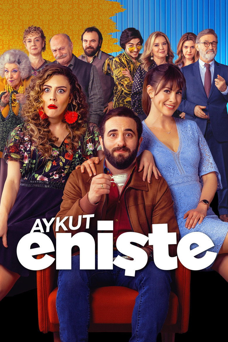 Aykut Enişte film posteri