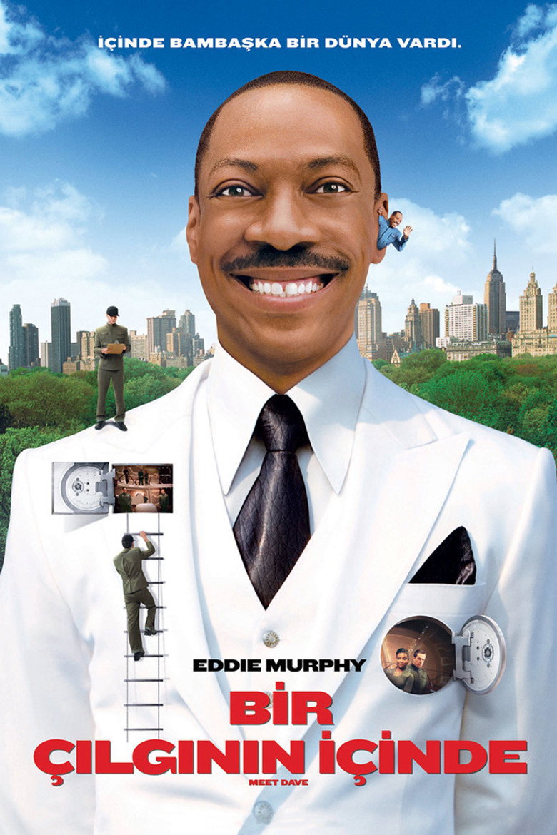Bir Çılgının İçinde film posteri