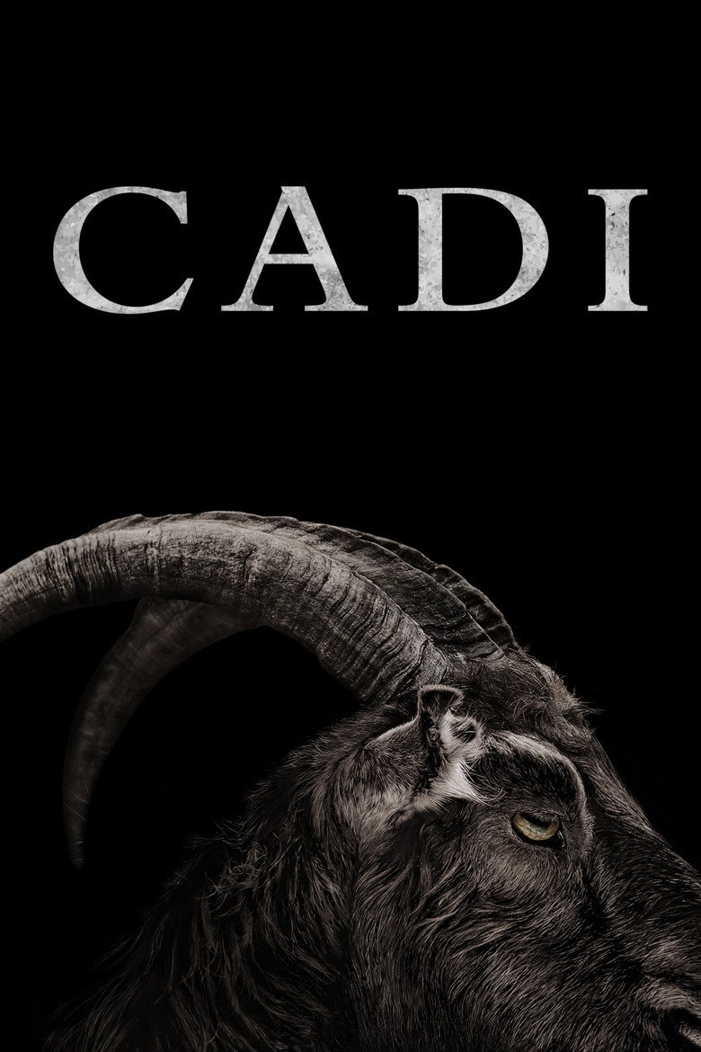 Cadı film posteri