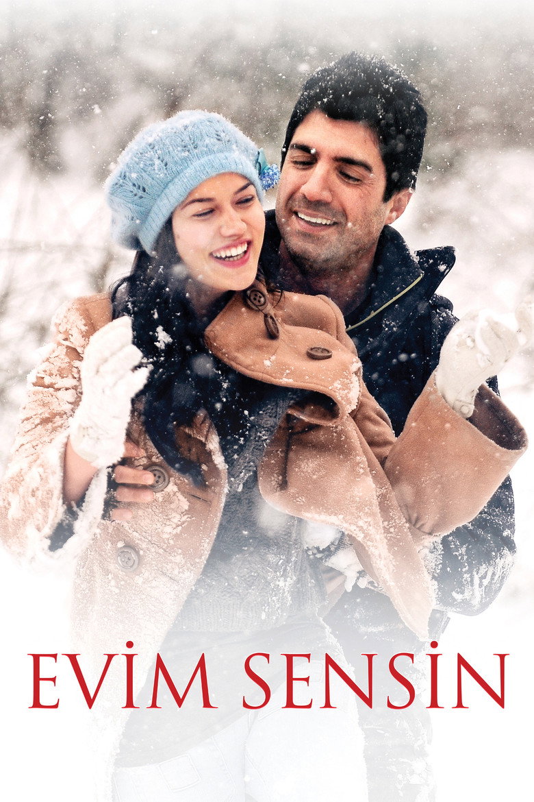 Evim Sensin film posteri