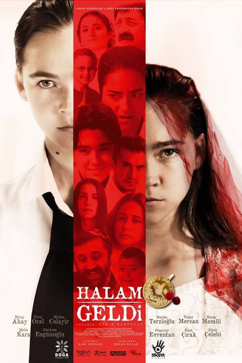 Halam Geldi film posteri