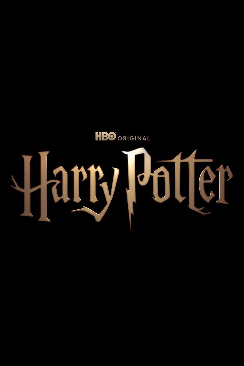 Harry Potter dizi posteri
