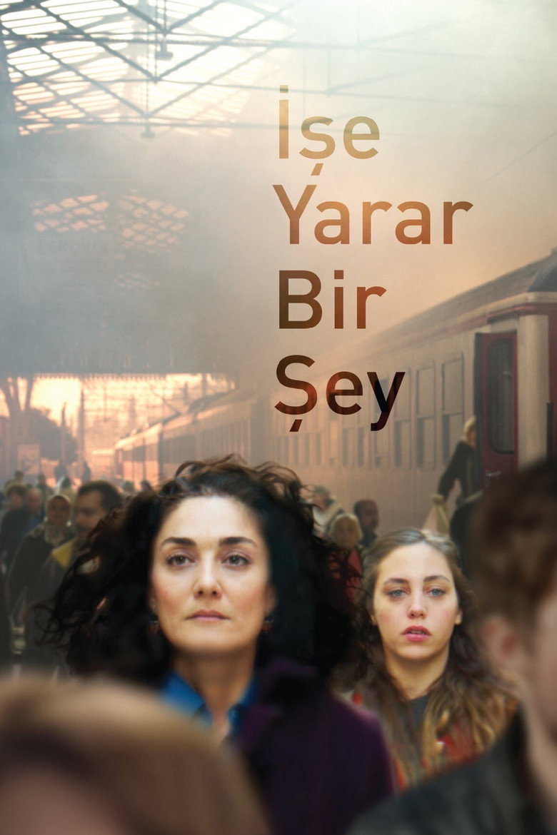 İşe Yarar Bir Şey film posteri