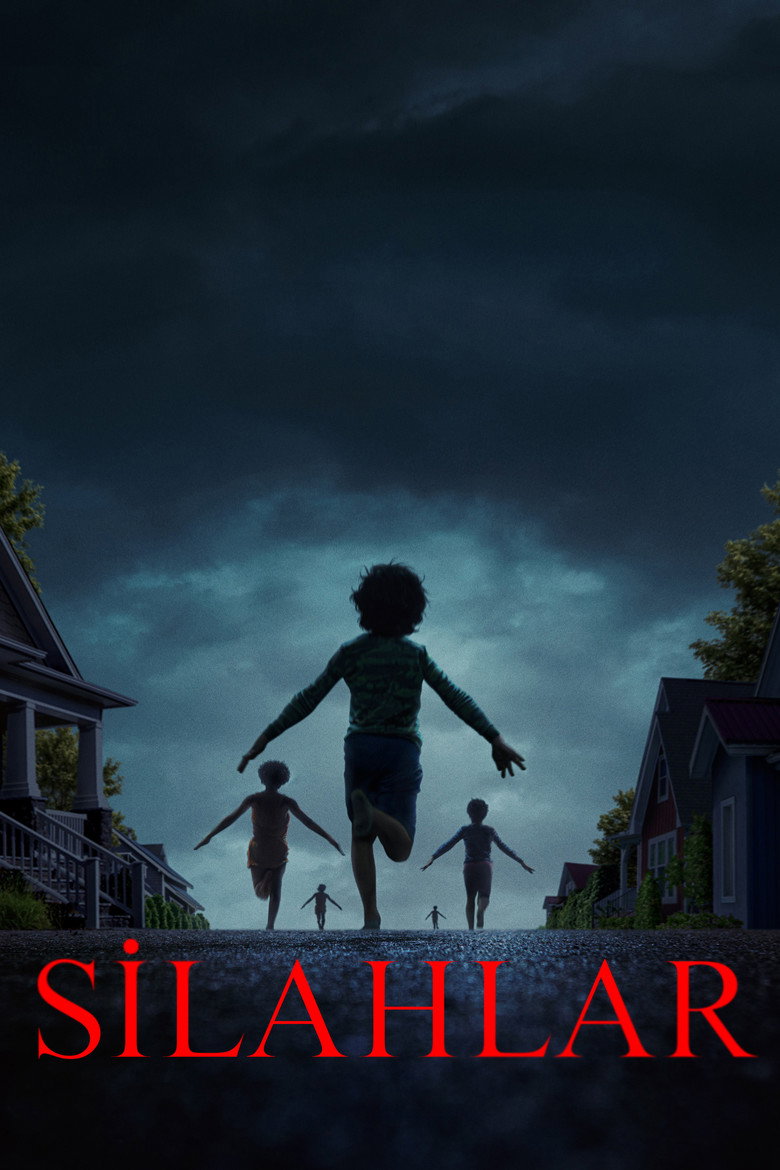 Silahlar film posteri