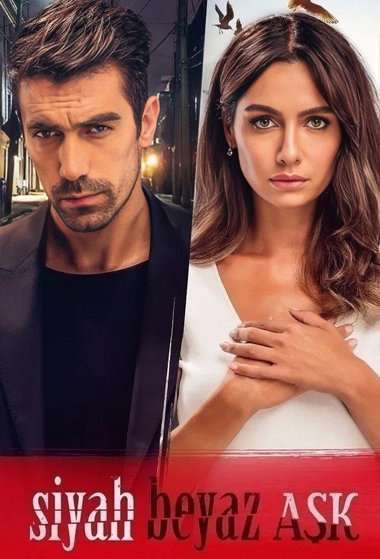 Siyah Beyaz Aşk dizi posteri