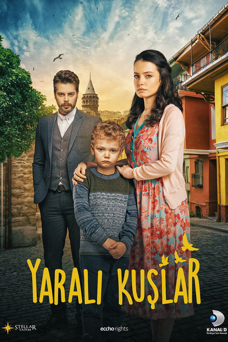 Yaralı Kuşlar dizi posteri