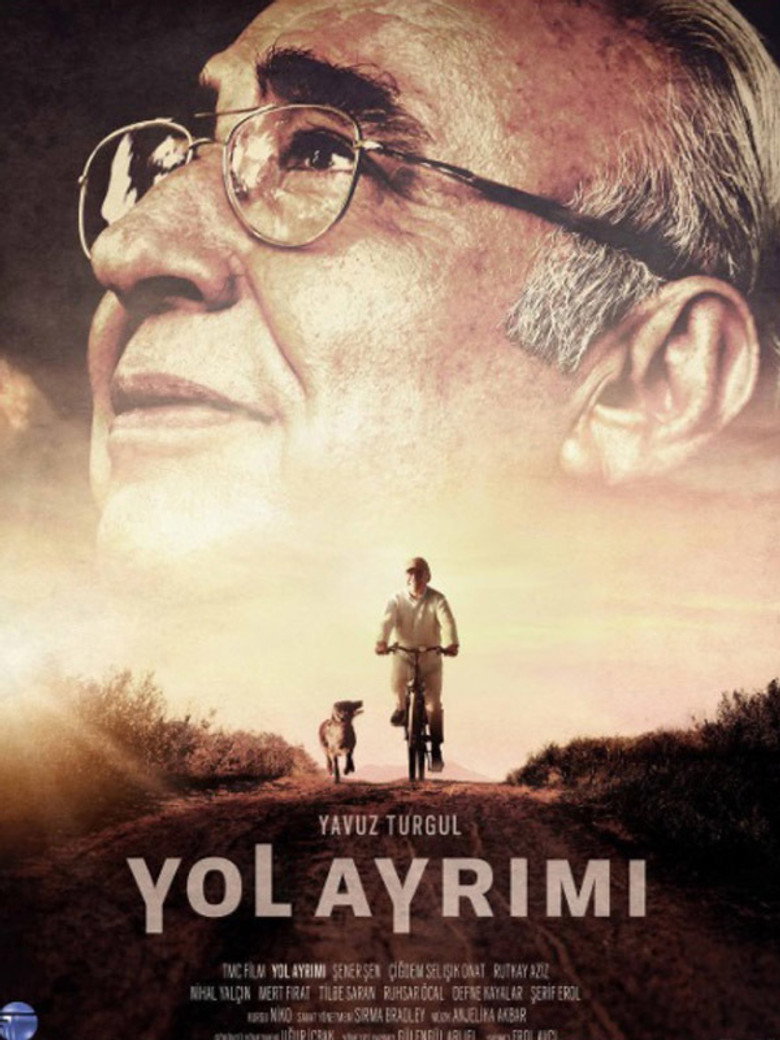 Yol Ayrımı film posteri