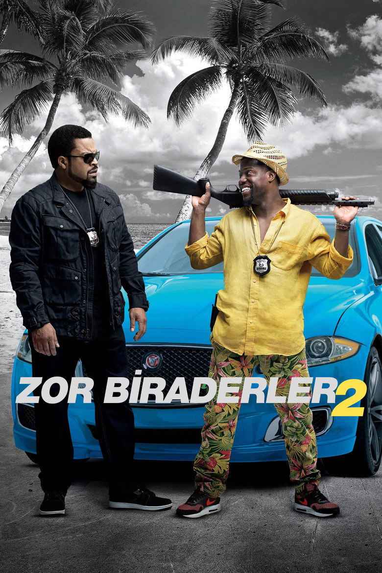 Zor Biraderler 2 film posteri