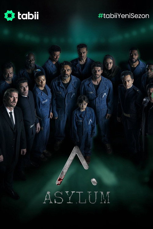 Asylum 1. sezon posteri