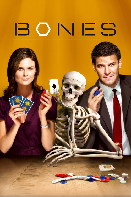 Bones 3. sezon posteri