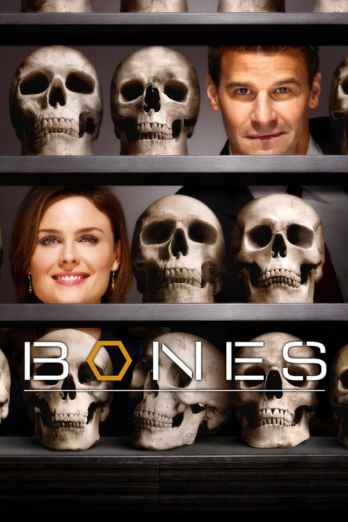 Bones 4. sezon posteri