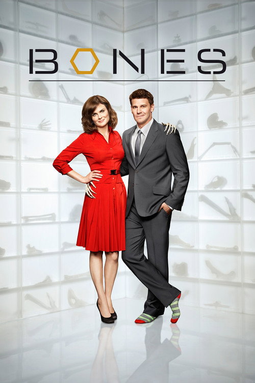 Bones 6. sezon posteri