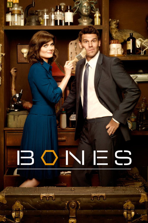 Bones 8. sezon posteri