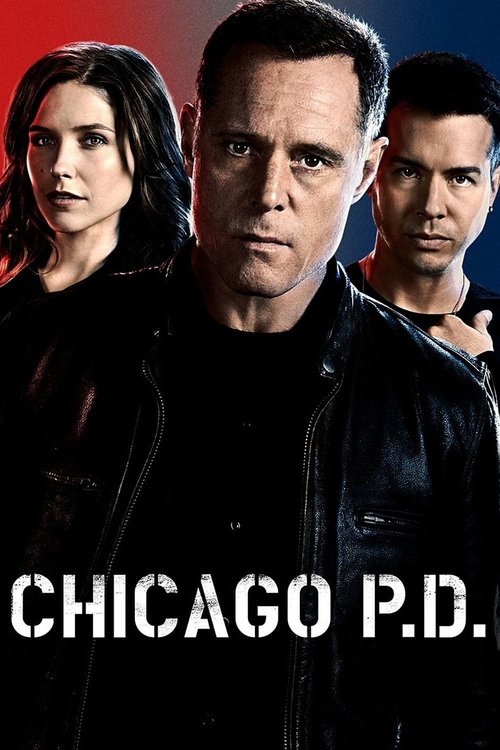 Chicago P.D. 2. sezon posteri