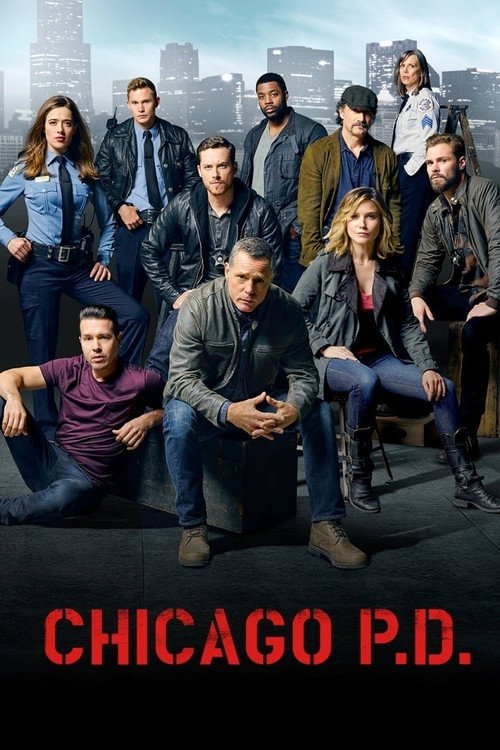Chicago P.D. 3. sezon posteri