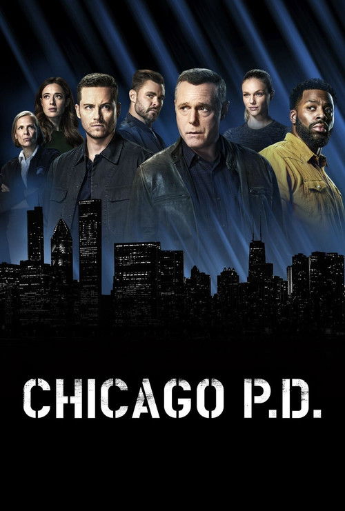 Chicago P.D. 5. sezon posteri