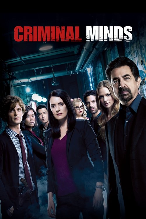 Criminal Minds 13. sezon posteri