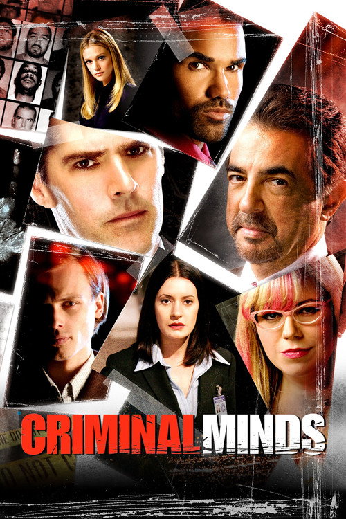 Criminal Minds 3. sezon posteri