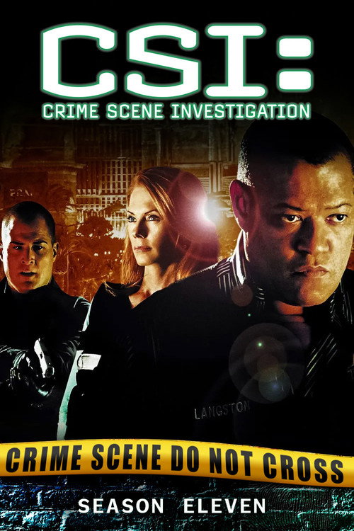 CSI: Crime Scene Investigation 11. sezon posteri