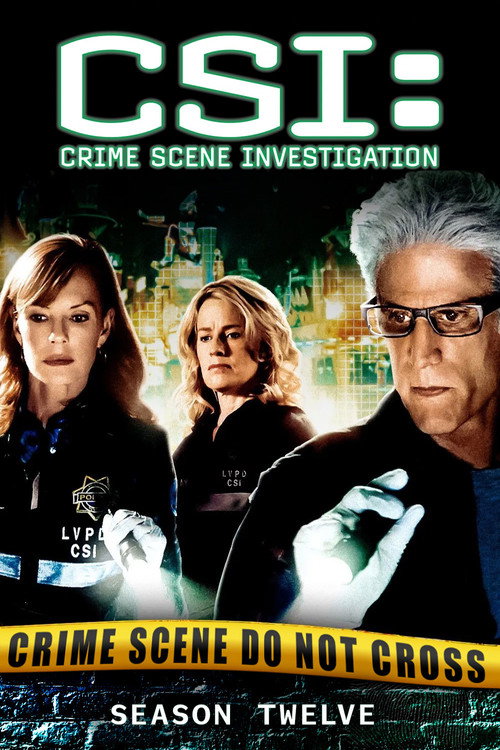 CSI: Crime Scene Investigation 12. sezon posteri