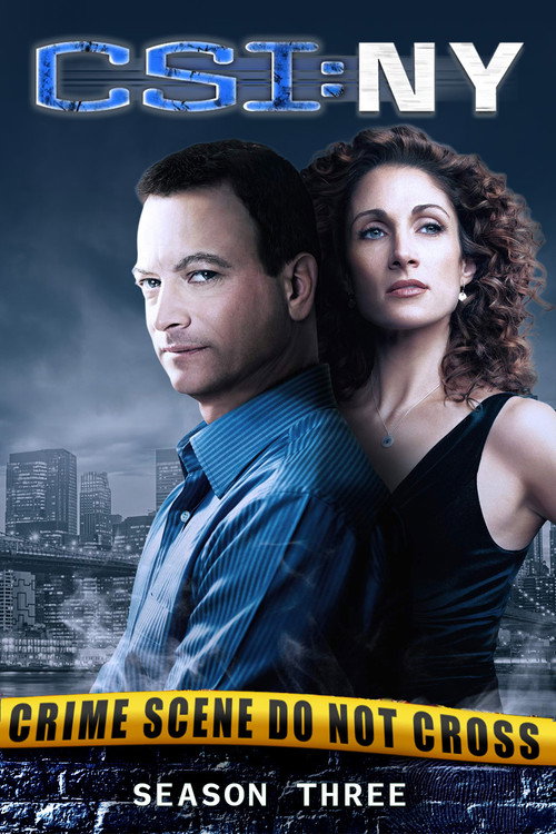 CSI: NY 3. sezon posteri