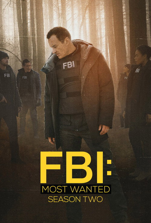 FBI: Most Wanted 2. sezon posteri