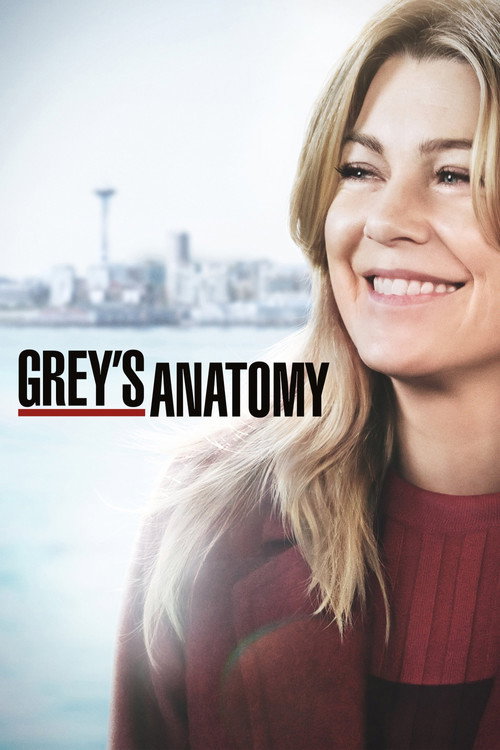 Grey's Anatomy 15. sezon posteri