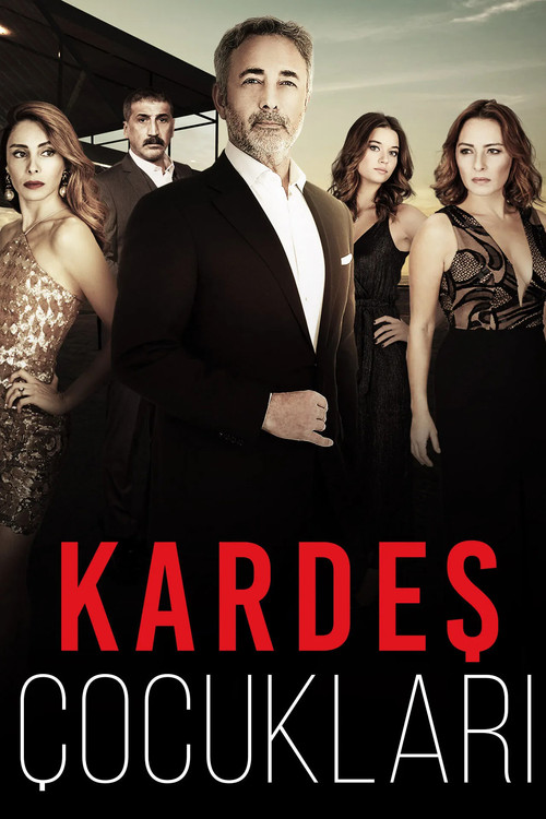 Kardeş Çocukları 1. sezon posteri