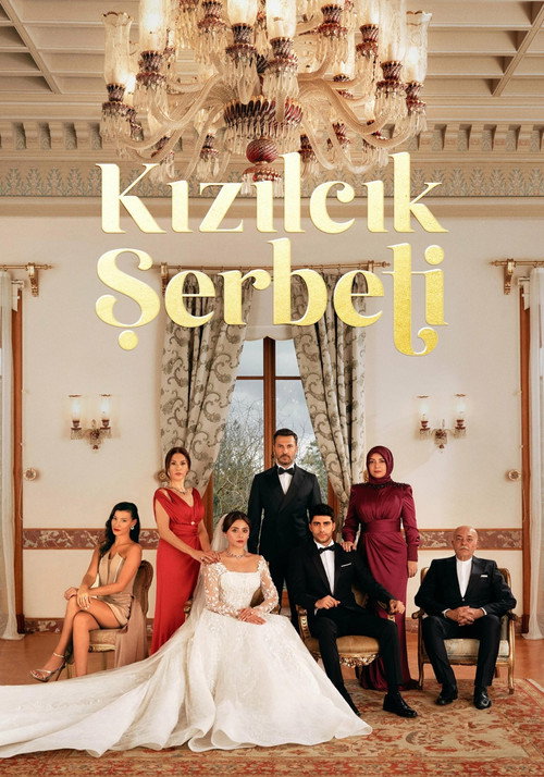 Kızılcık Şerbeti 1. sezon posteri