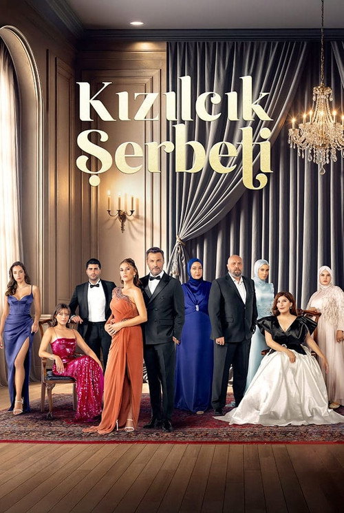 Kızılcık Şerbeti 3. sezon posteri