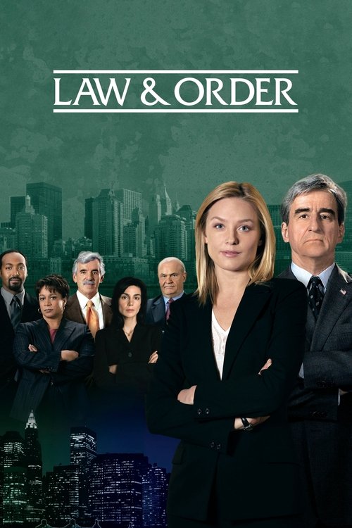 Law & Order 15. sezon posteri