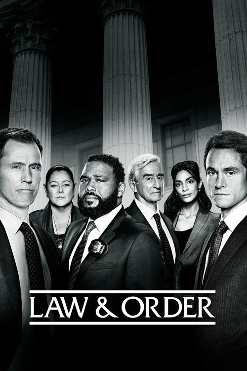 Law & Order 21. sezon posteri