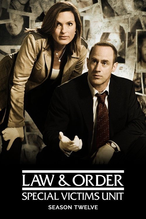 Law & Order: Special Victims Unit 12. sezon posteri