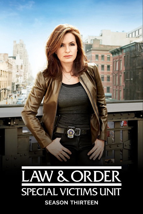 Law & Order: Special Victims Unit 13. sezon posteri