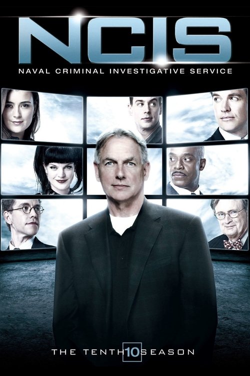 NCIS 10. sezon posteri