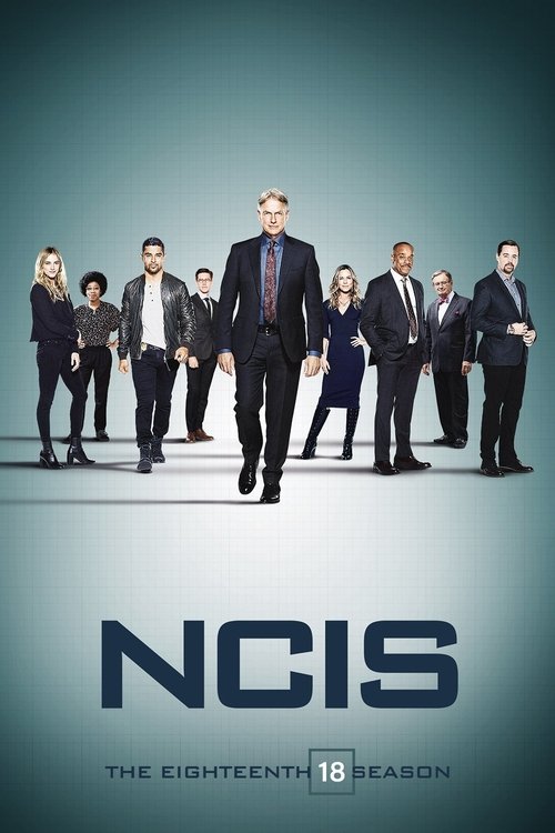 NCIS 18. sezon posteri