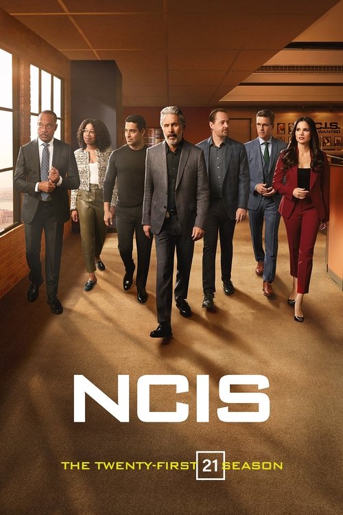 NCIS 21. sezon posteri