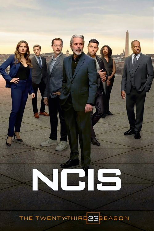 NCIS 23. sezon posteri