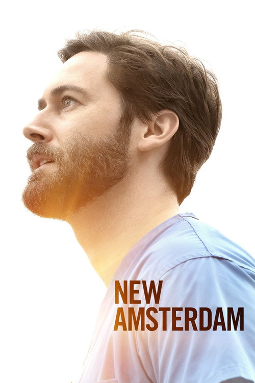 New Amsterdam 3. sezon posteri