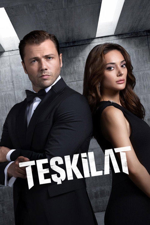 Teşkilat 6. sezon posteri