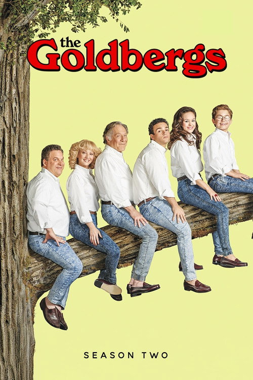The Goldbergs 2. sezon posteri